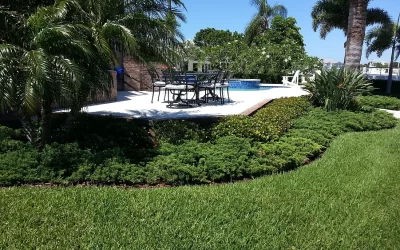 Why we are the Best Lawn Care in Pinellas County