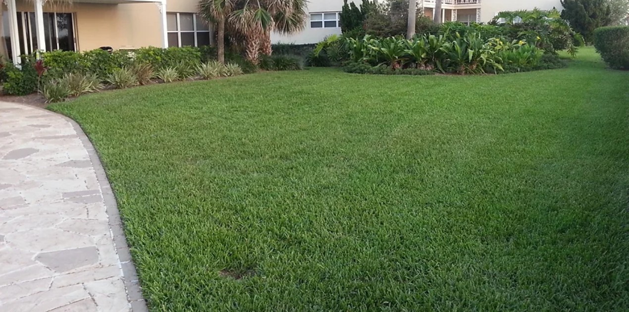 HOA Property serviced by collins lawn care and shrub care