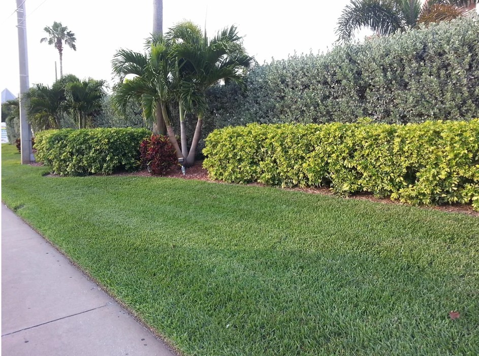 landscape being serviced by collins lawn care and shrub care company