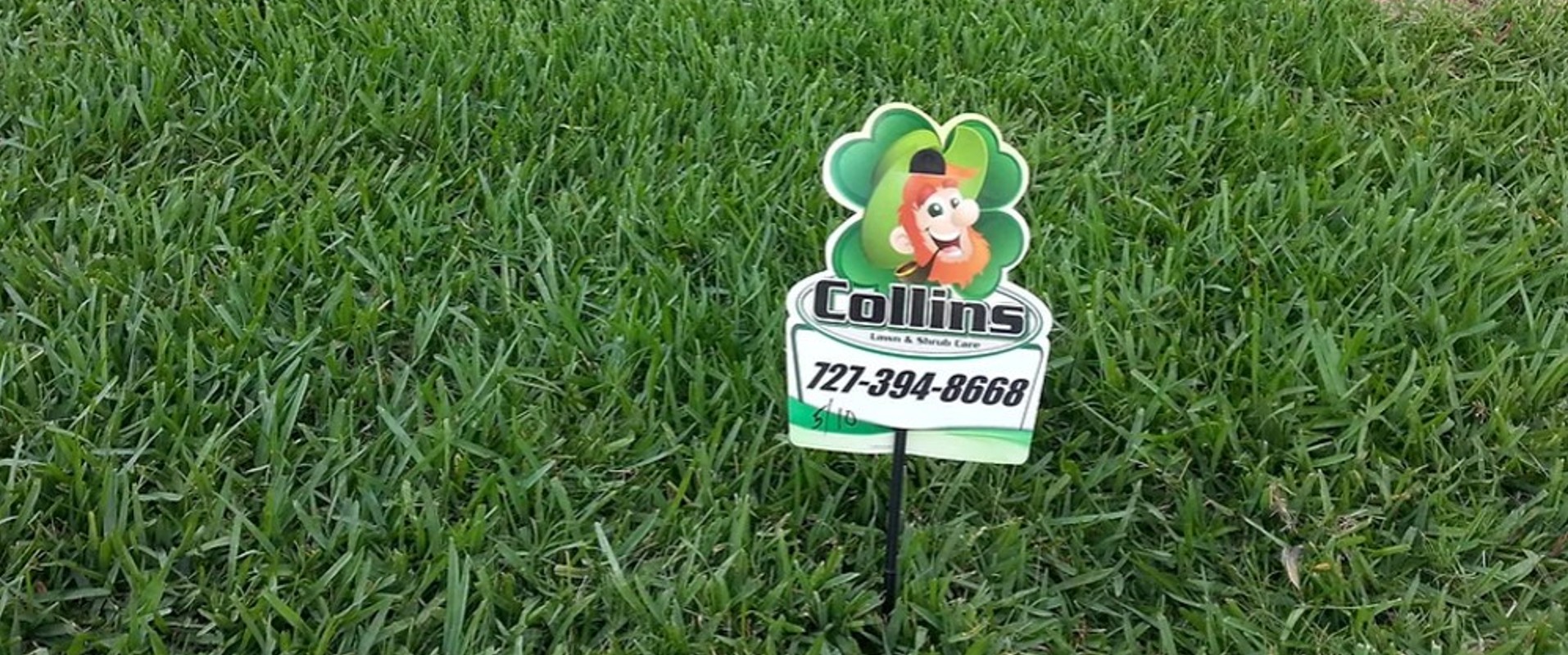 collins lawn care using fertilizers, weed control and protection from pest and diseases